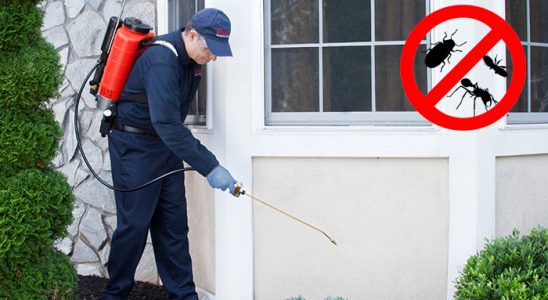 Çamoluk Hamam Böceği İlaçlama böcek ilaçlama ve haşere kontrolü — ilaclama-tr.com